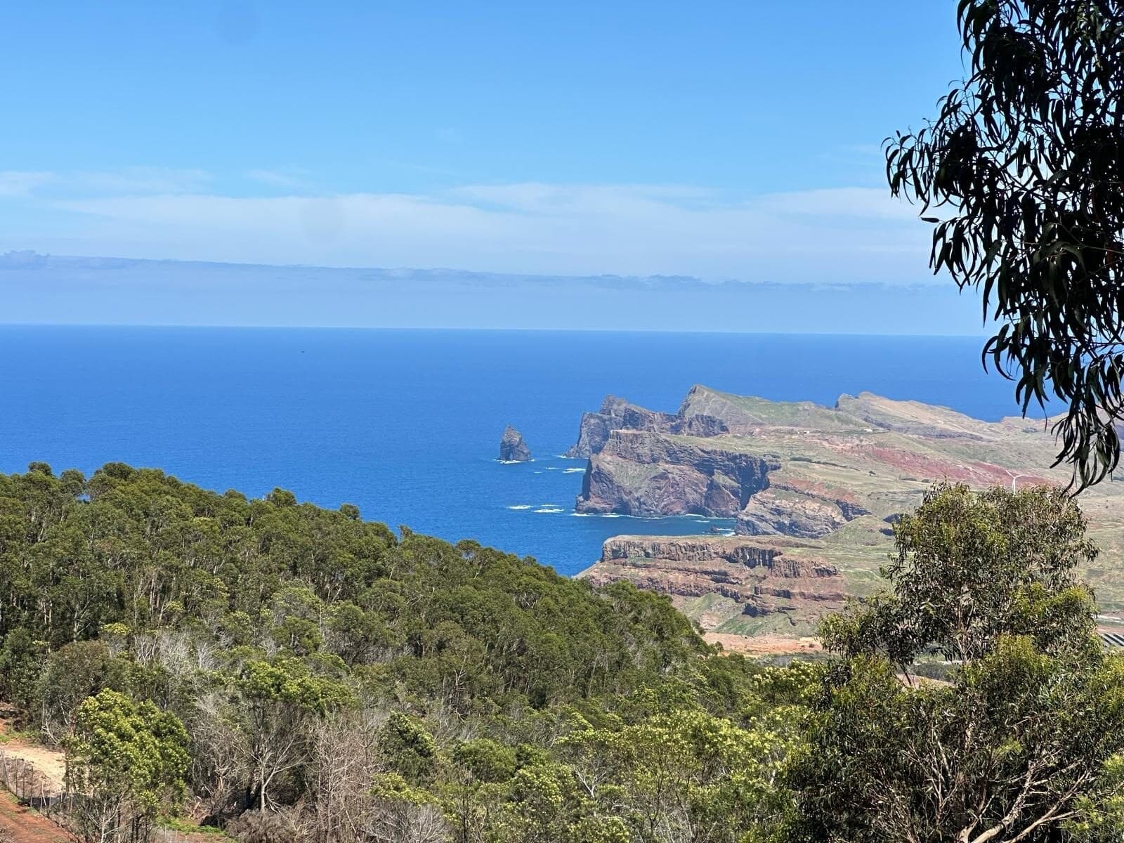 Blick über Wald und Steilküste Madeiras auf den Atlantik